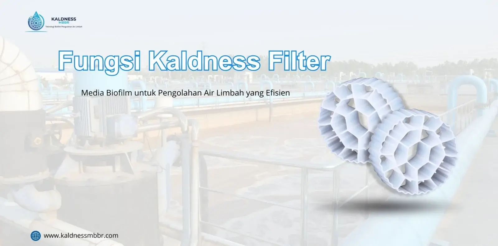Fungsi Kaldness Filter
